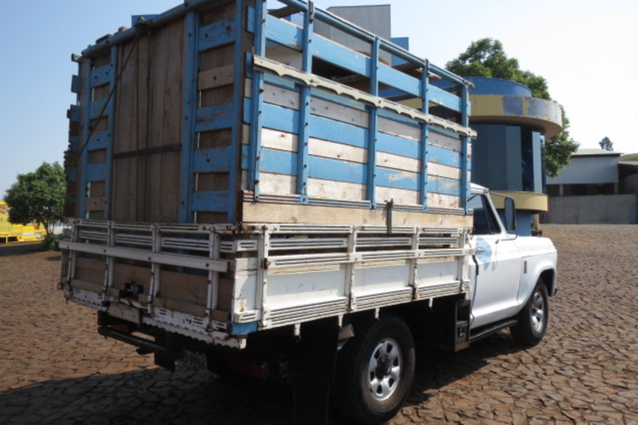 Ford F4000 - 80/80 6