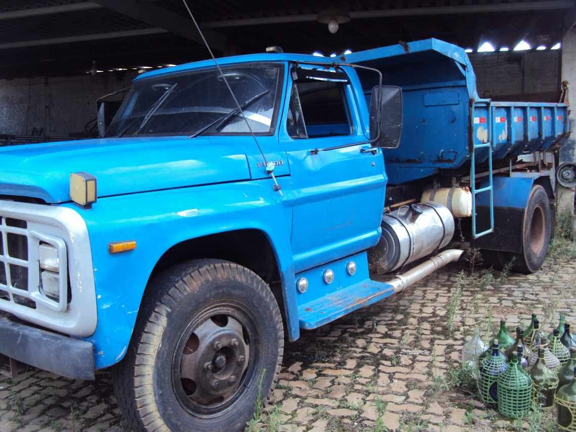 Ford F11000 - 80/81 6