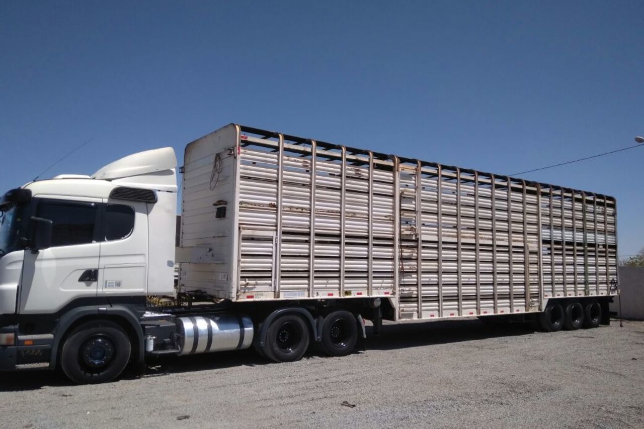 Scania R440 - 12/13 2