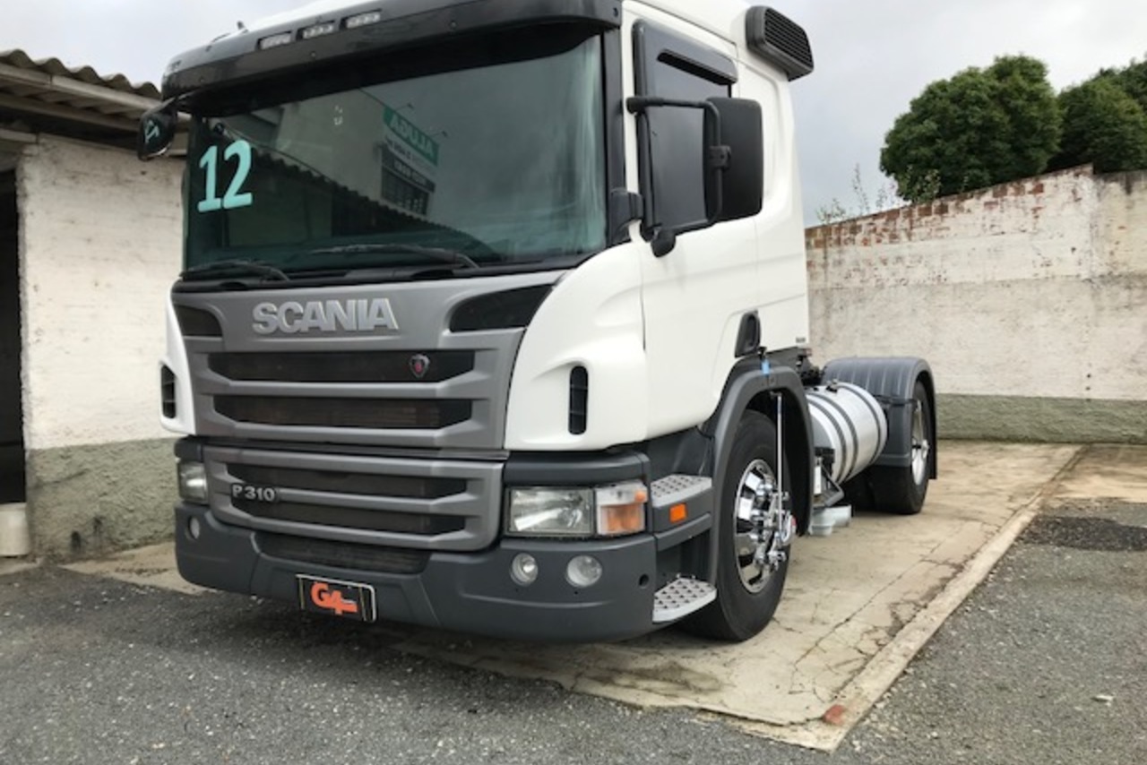 Scania P310 - 12/12 6