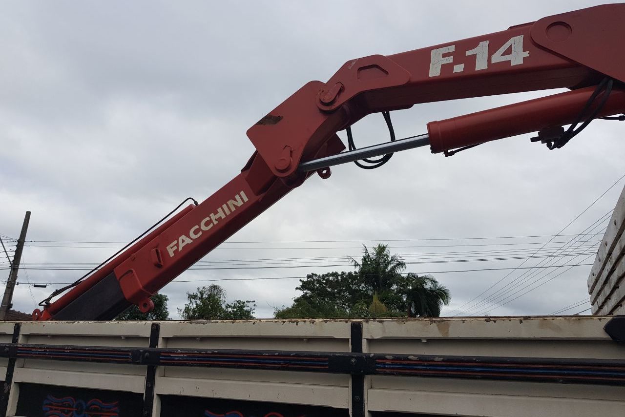 Ford Cargo1317 - 07/07 13