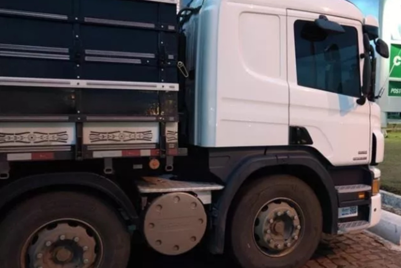 Scania P310 - 13/13 3