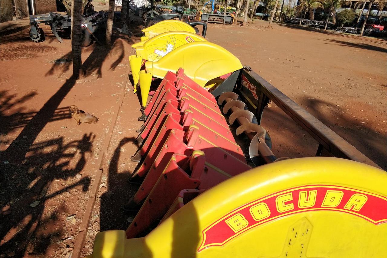 Vence tudo Milho - 07 2