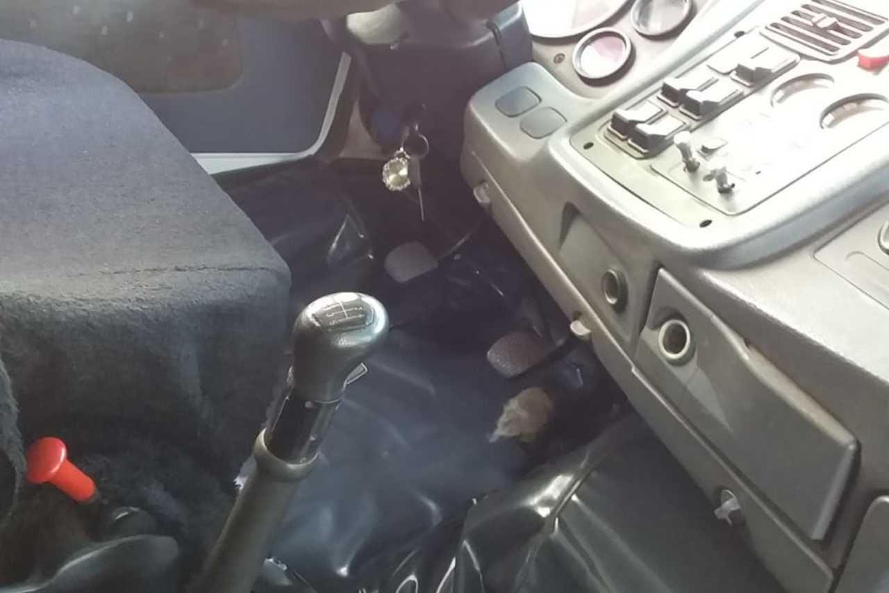 Mercedes Benz MB 1634 - 11/11 18