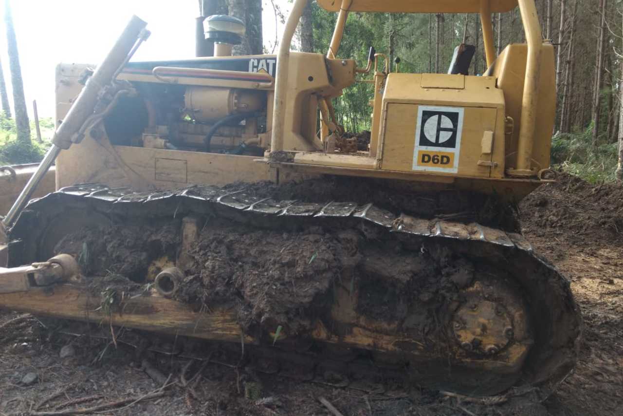 Caterpillar D6D - 81/81 5