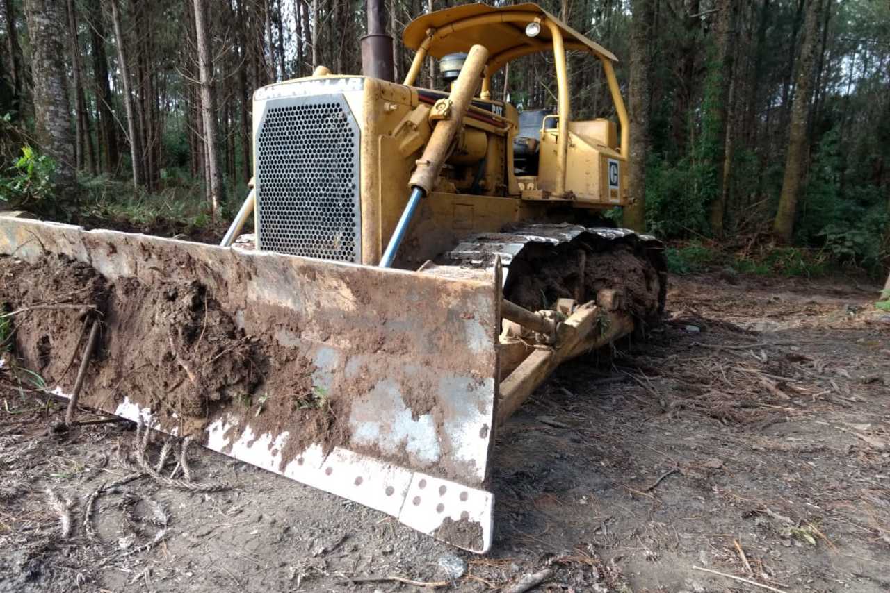 Caterpillar D6D - 81/81 7