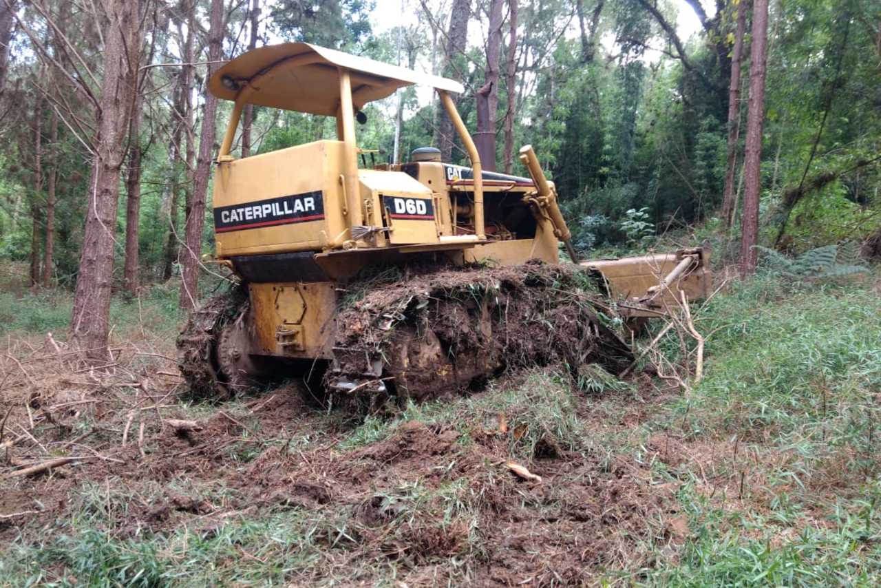 Caterpillar D6D - 81/81 8