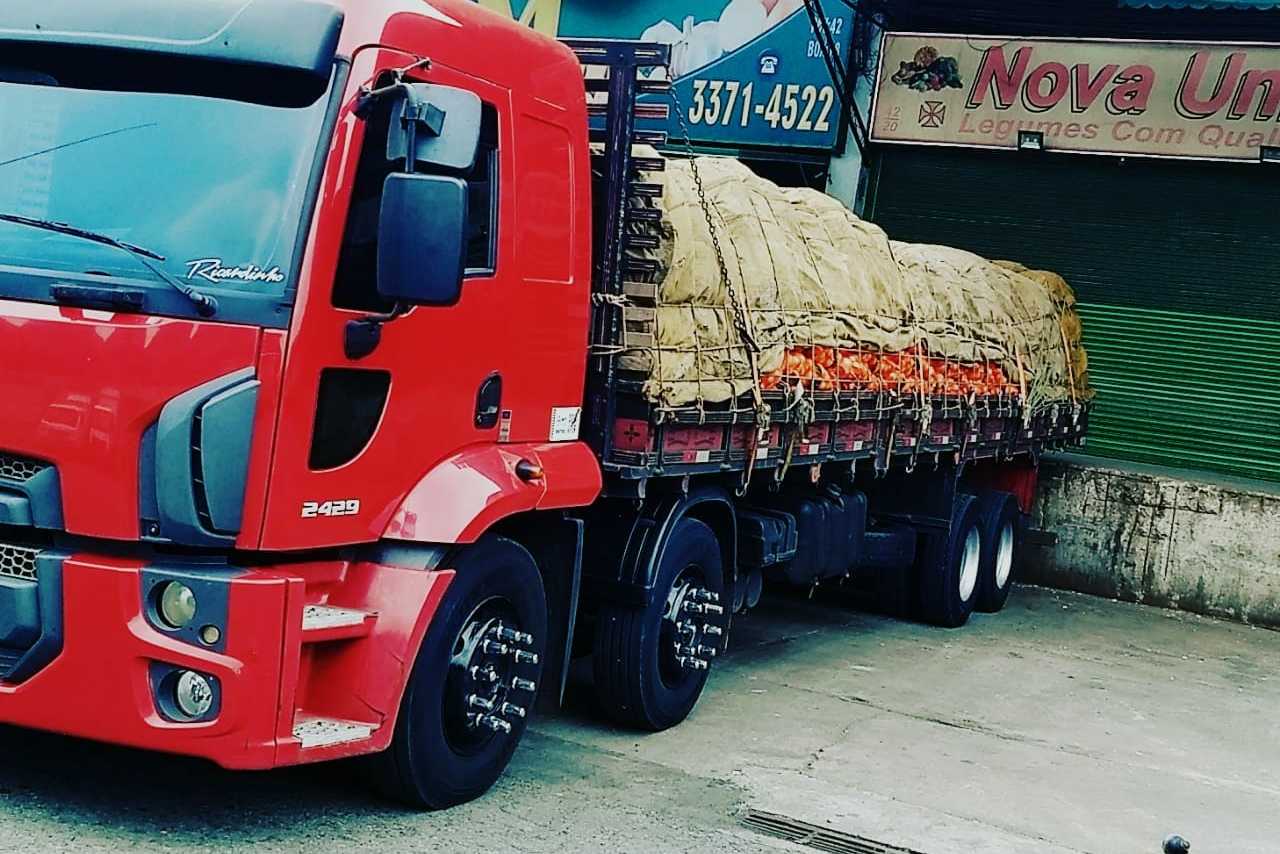 Ford Cargo2429 - 13/13 5