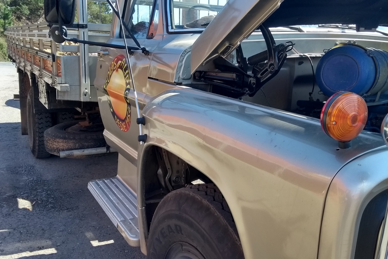 Ford F11000 - 84/85 12
