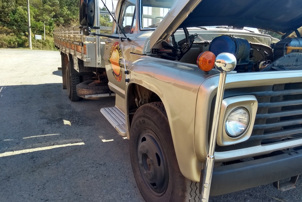 Ford F11000 - 84/85 14
