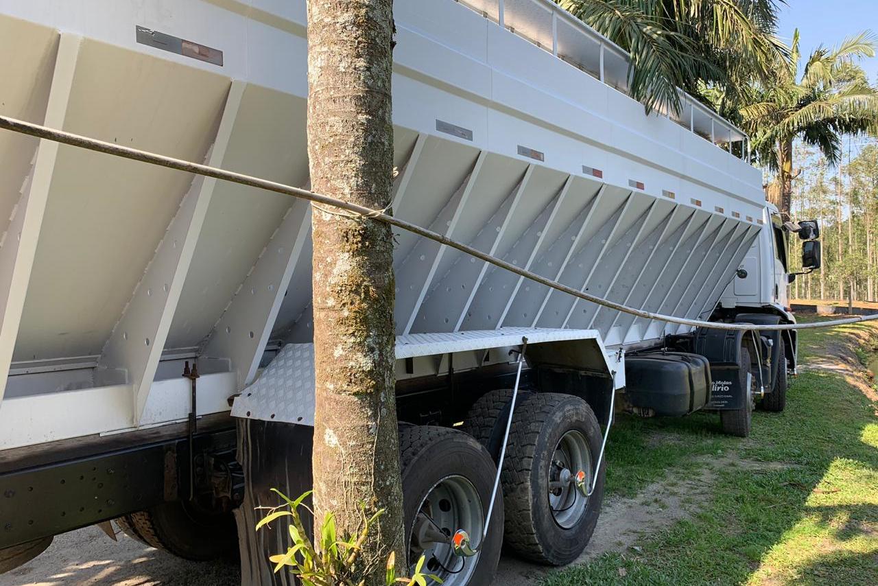 Ford Cargo2429 - 14/14 12
