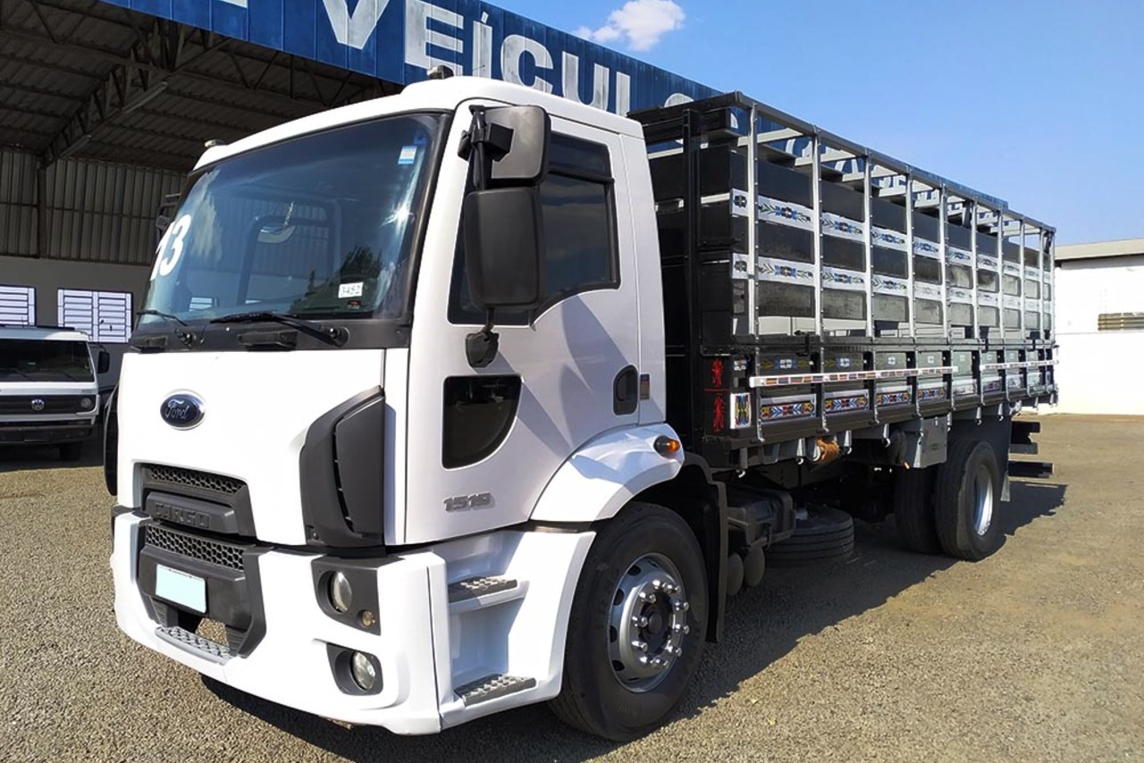 Ford Cargo 1519 - 13/13 5