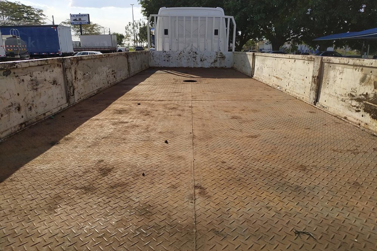 Ford Cargo2423 - 13/13 10