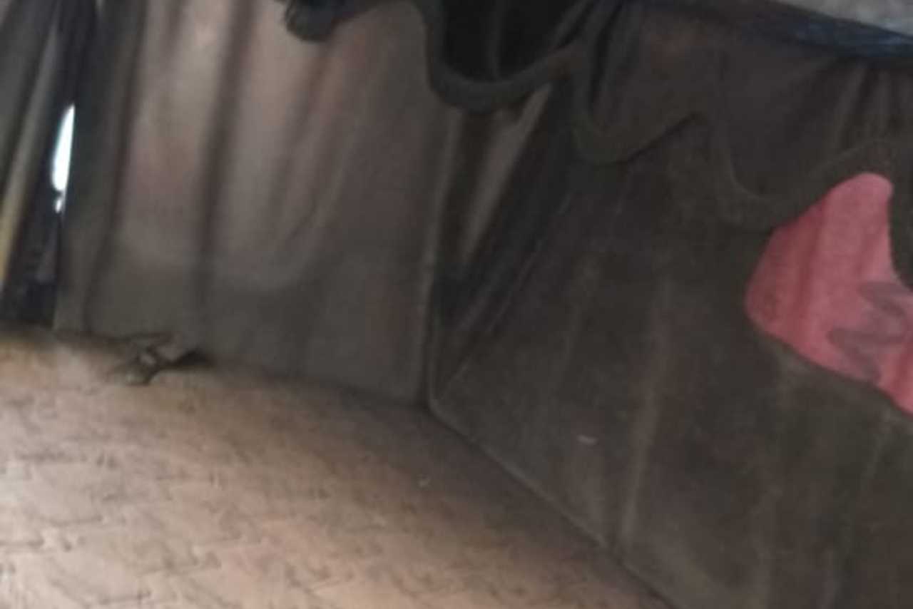 Scania 113 320 - 95/95 3