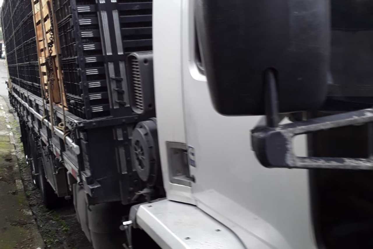 Ford Cargo2422 - 08/08 2