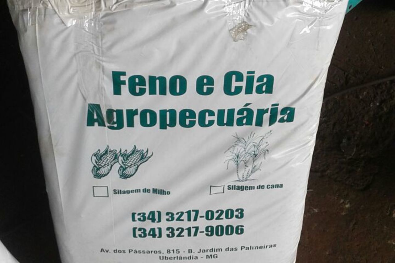 Multimarcas Outros - 19/19 19