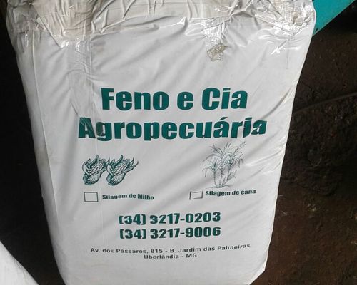 Imagem do anúncio