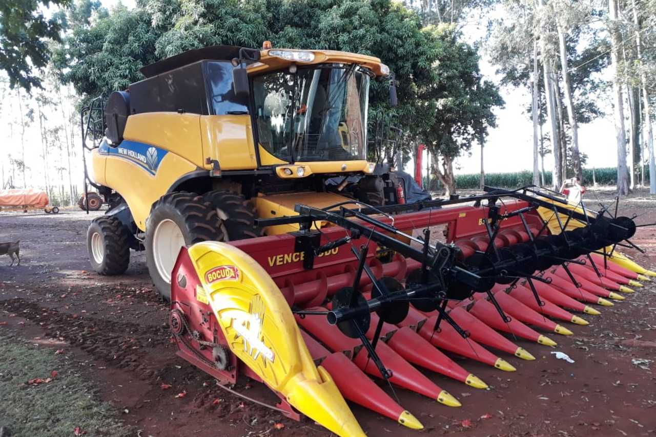 Carvalho  Soja  - 15/15 20