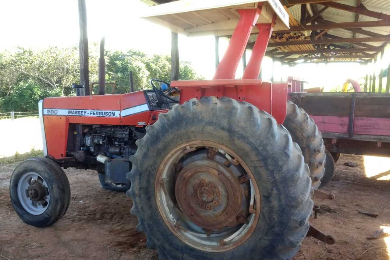 Massey Ferguson 290 - 88/88 15