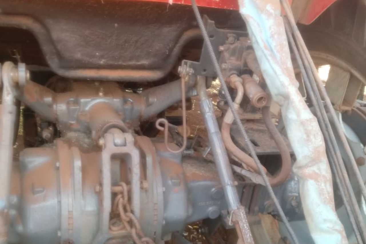 Massey Ferguson 275 - 09/09 5
