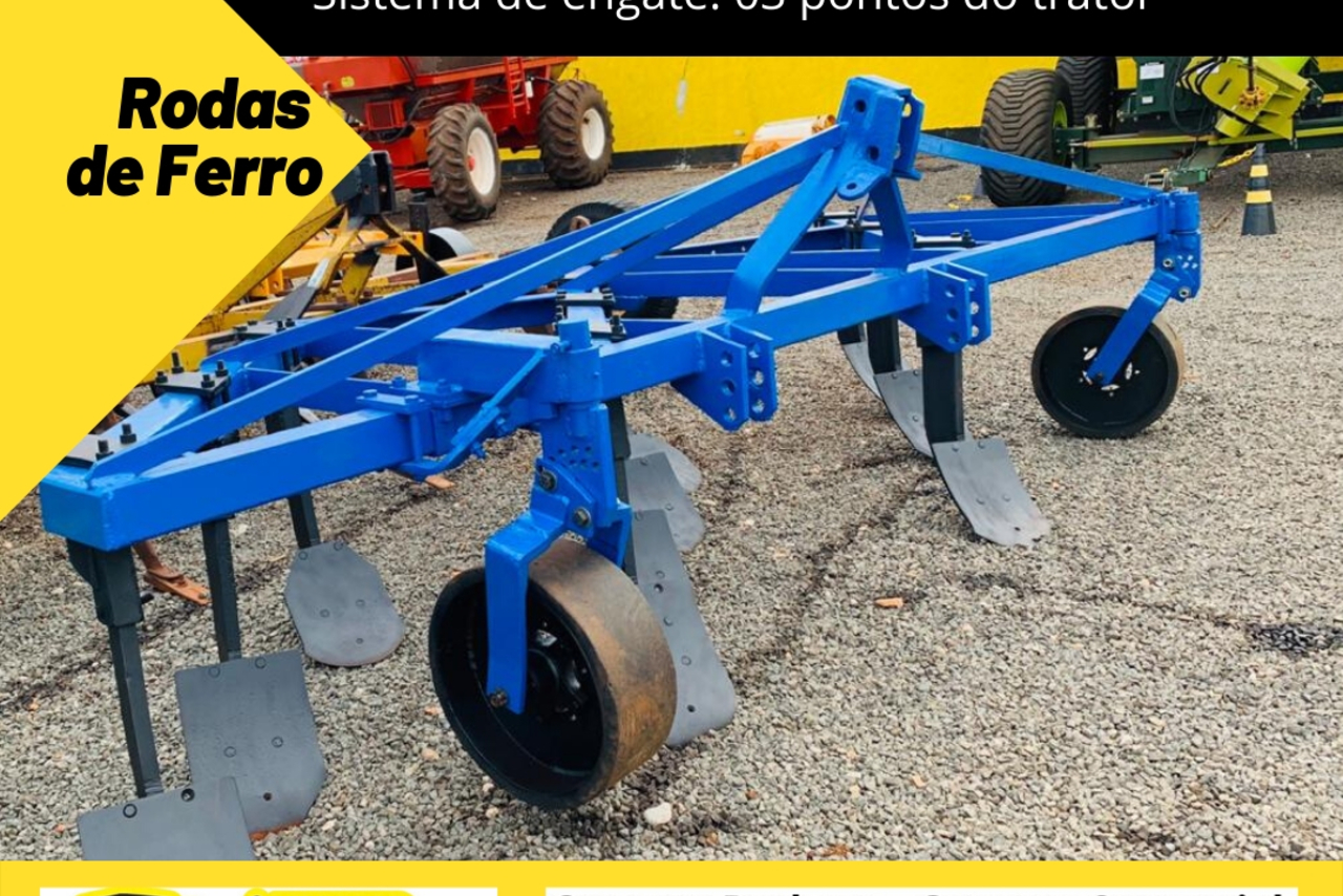 Multimarcas Pé de Pato -  4