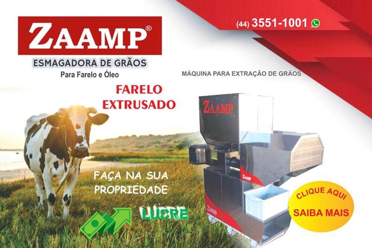 Zaamp Z3000 - 20/21 13