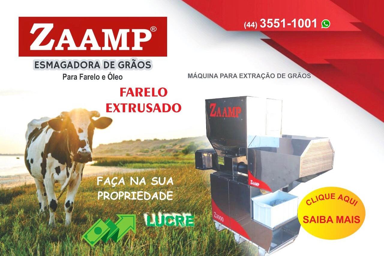 Zaamp Z3000 - 20/21 4