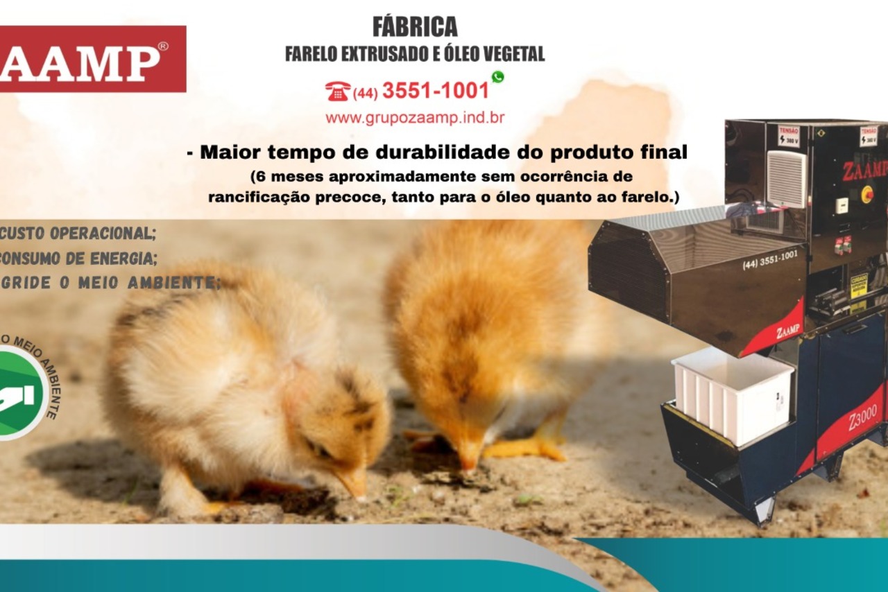 Zaamp Z3000 - 20/21 7