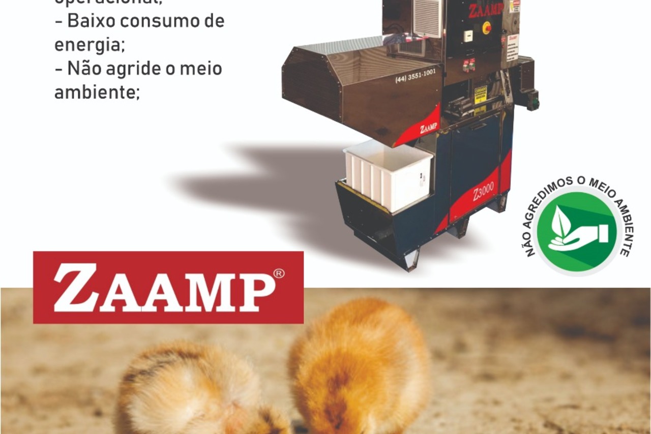 Zaamp Z3000 - 20/21 10
