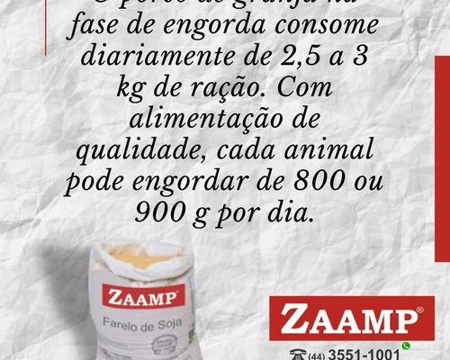 Imagem do anúncio