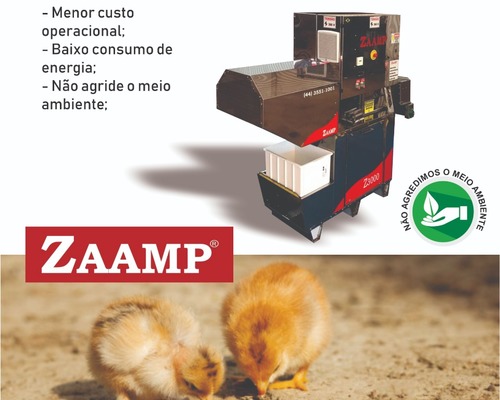 Imagem do anúncio