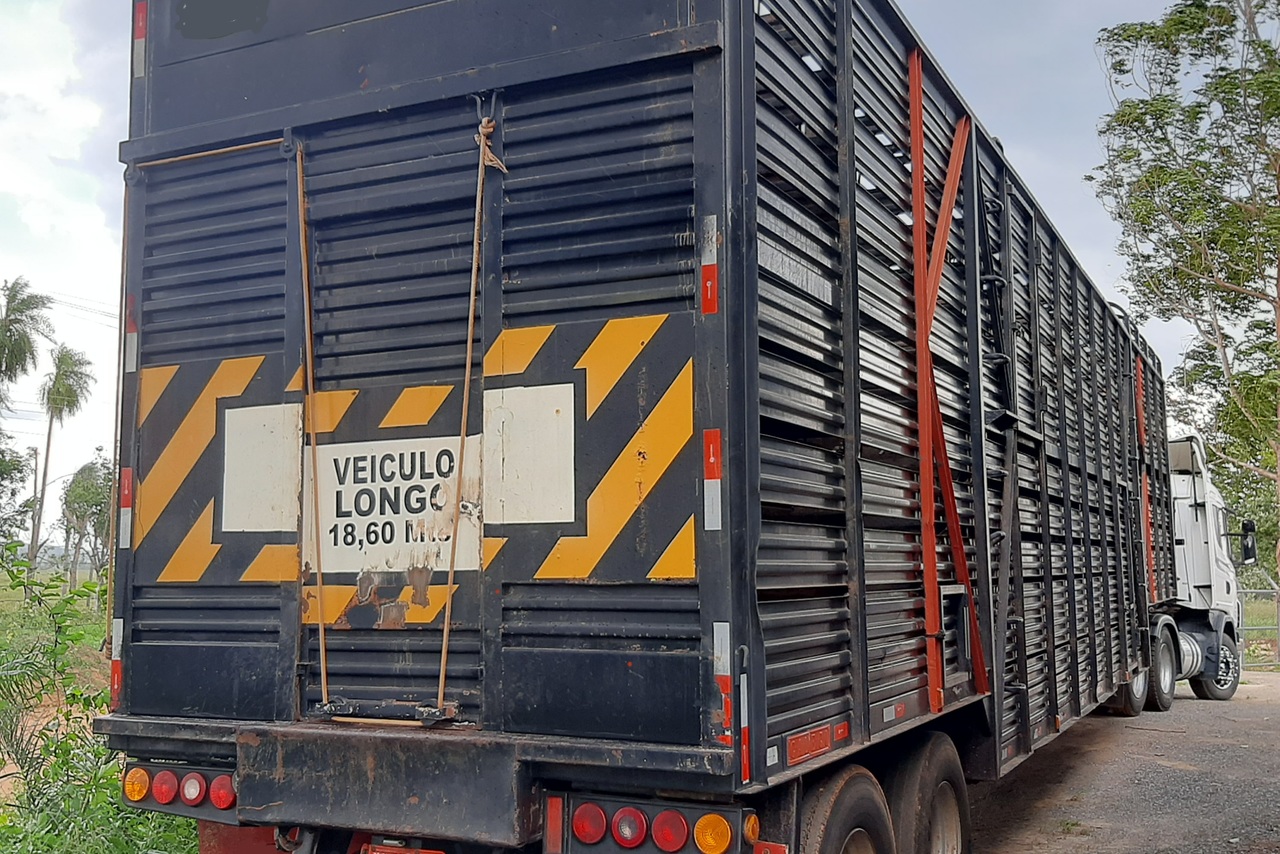 Scania G380 - 10/10 4