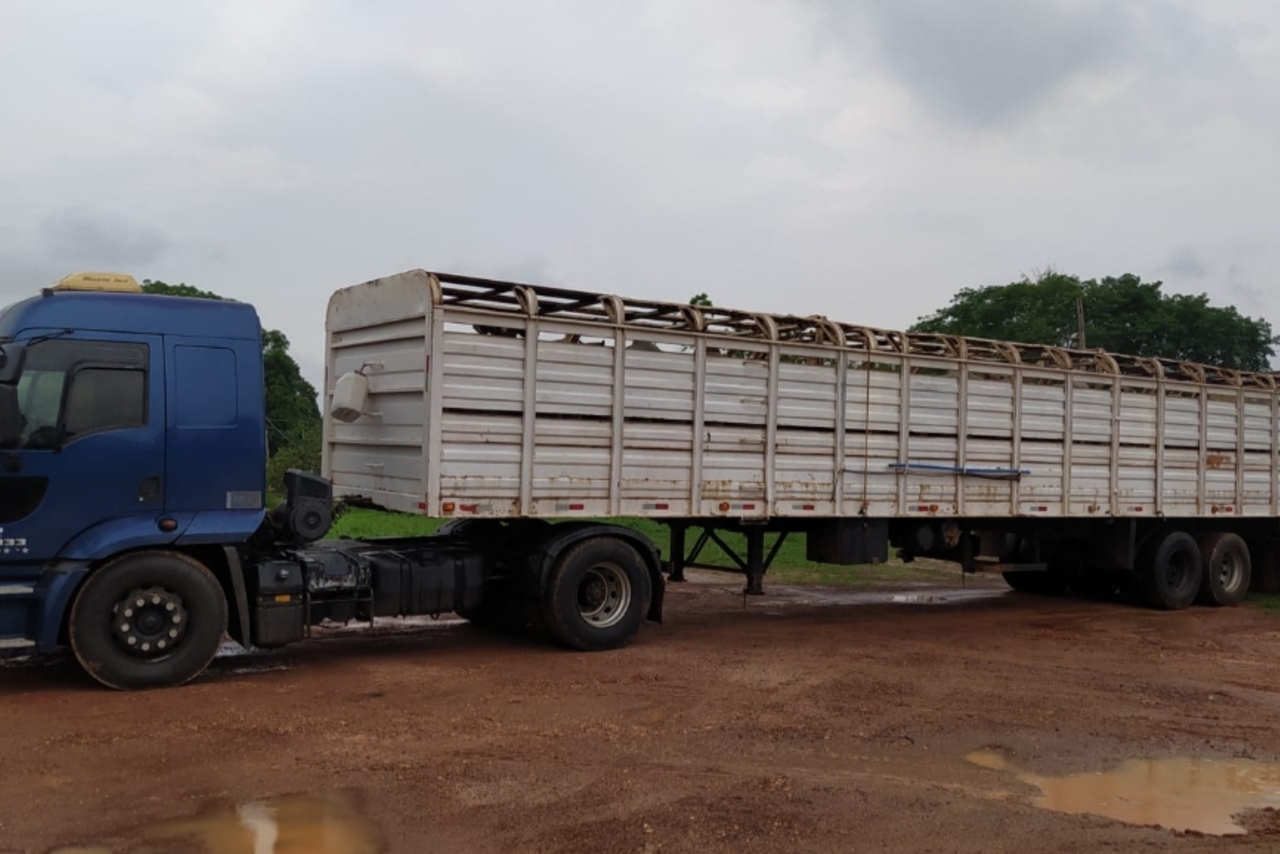 Ford Cargo1933 - 12/13 5