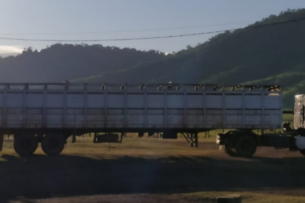Ford Cargo1933 - 12/13 11