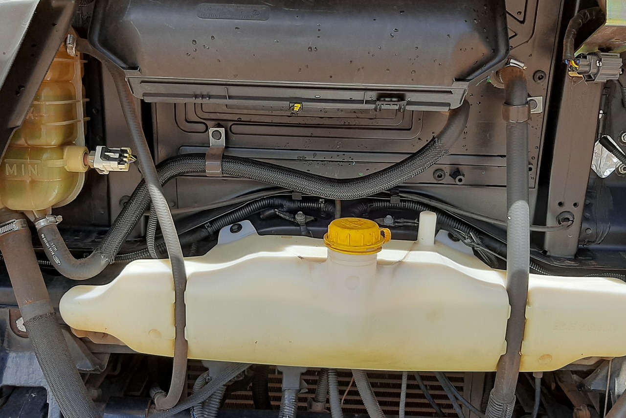 Ford Cargo 1519 - 13/13 5