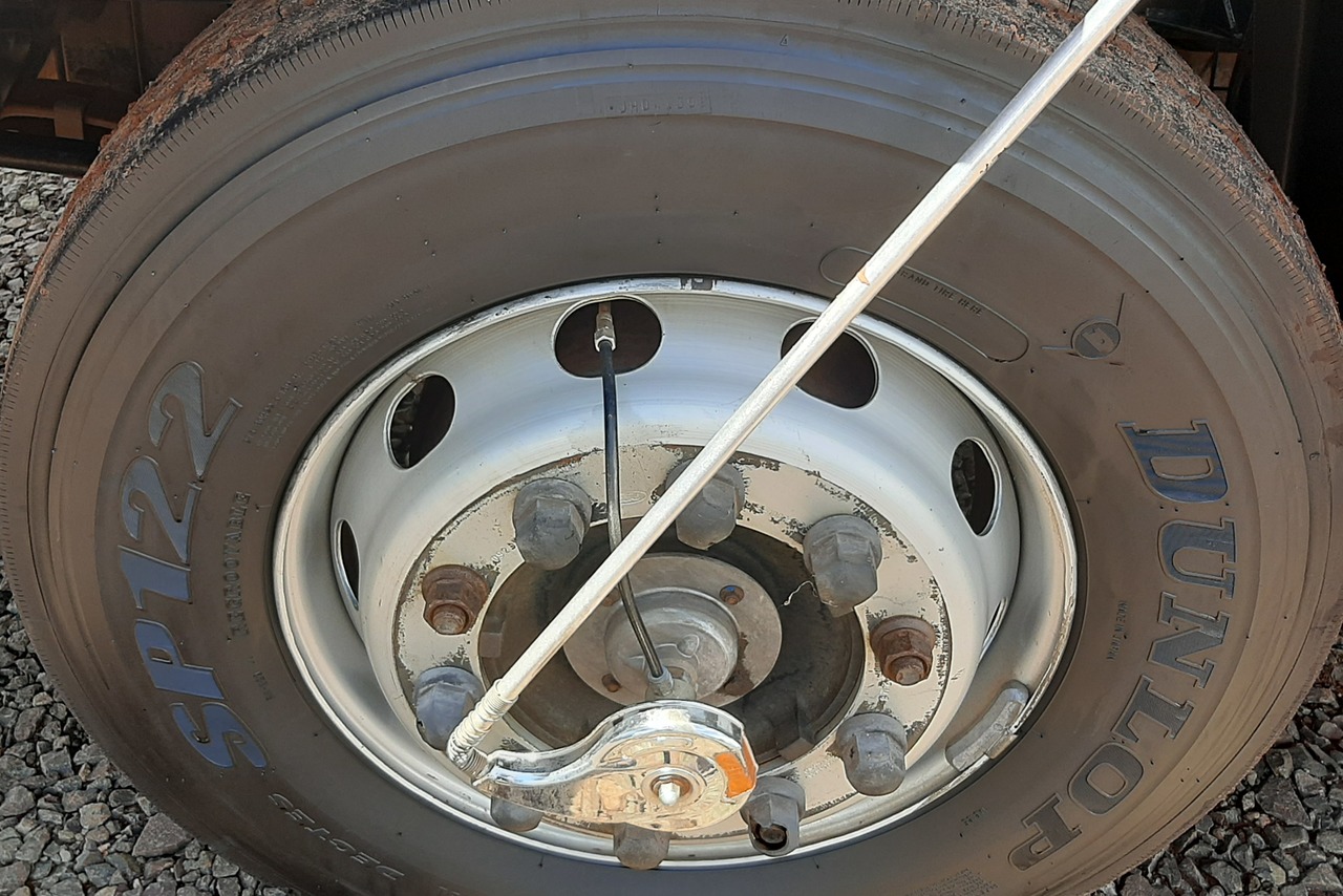Ford Cargo 1519 - 13/13 8