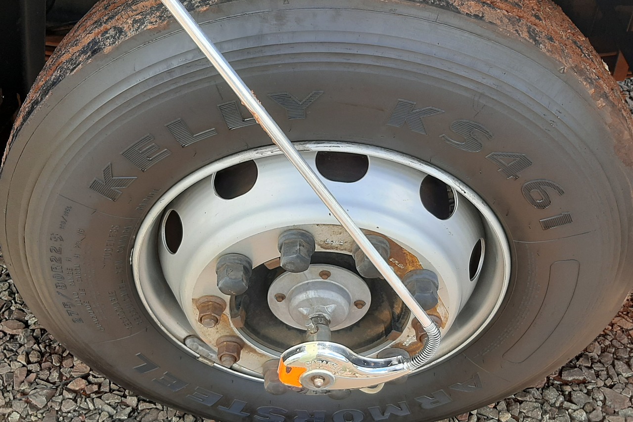 Ford Cargo 1519 - 13/13 9