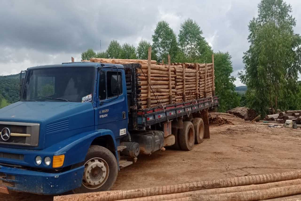 Mercedes Benz MB 1620 - 04/04 2