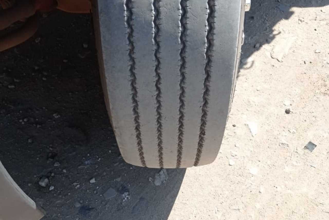 Scania P310 - 15/15 4