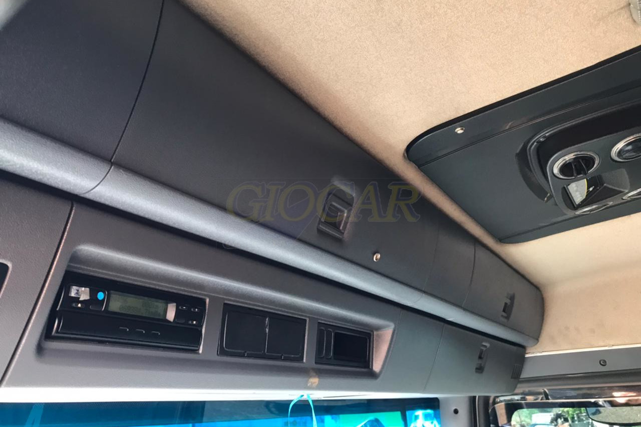 Scania P310 - 12/13 16