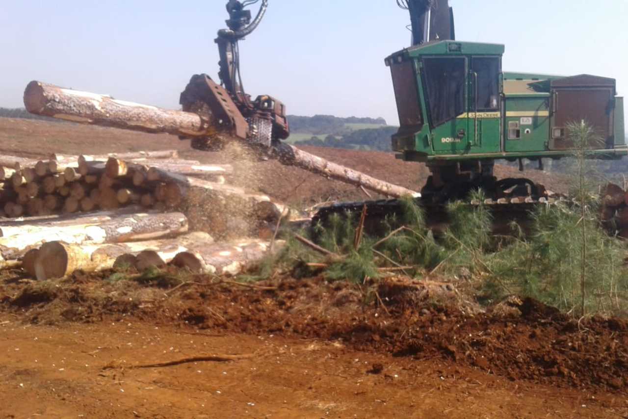 John Deere  903JH - 09/09 5