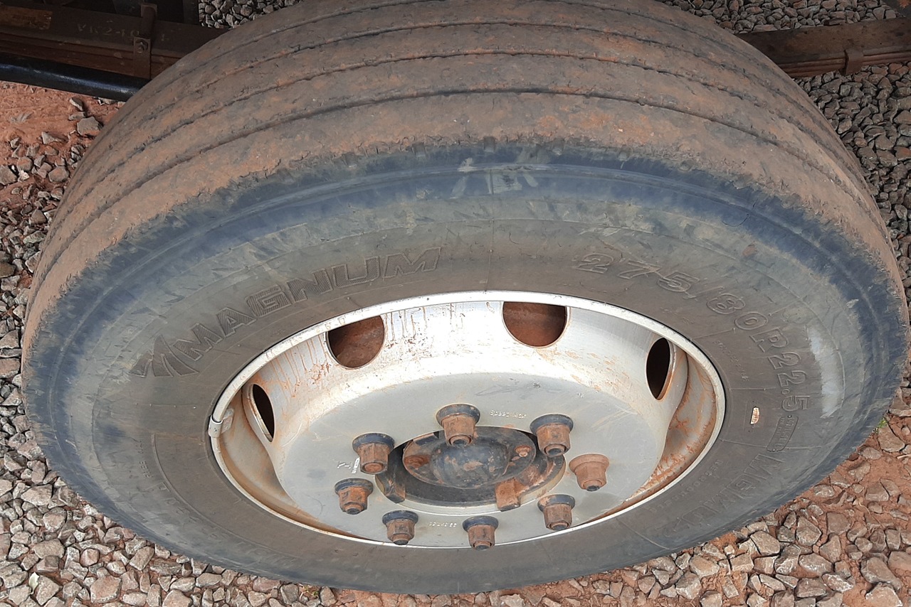 Ford Cargo1317 - 07/08 11