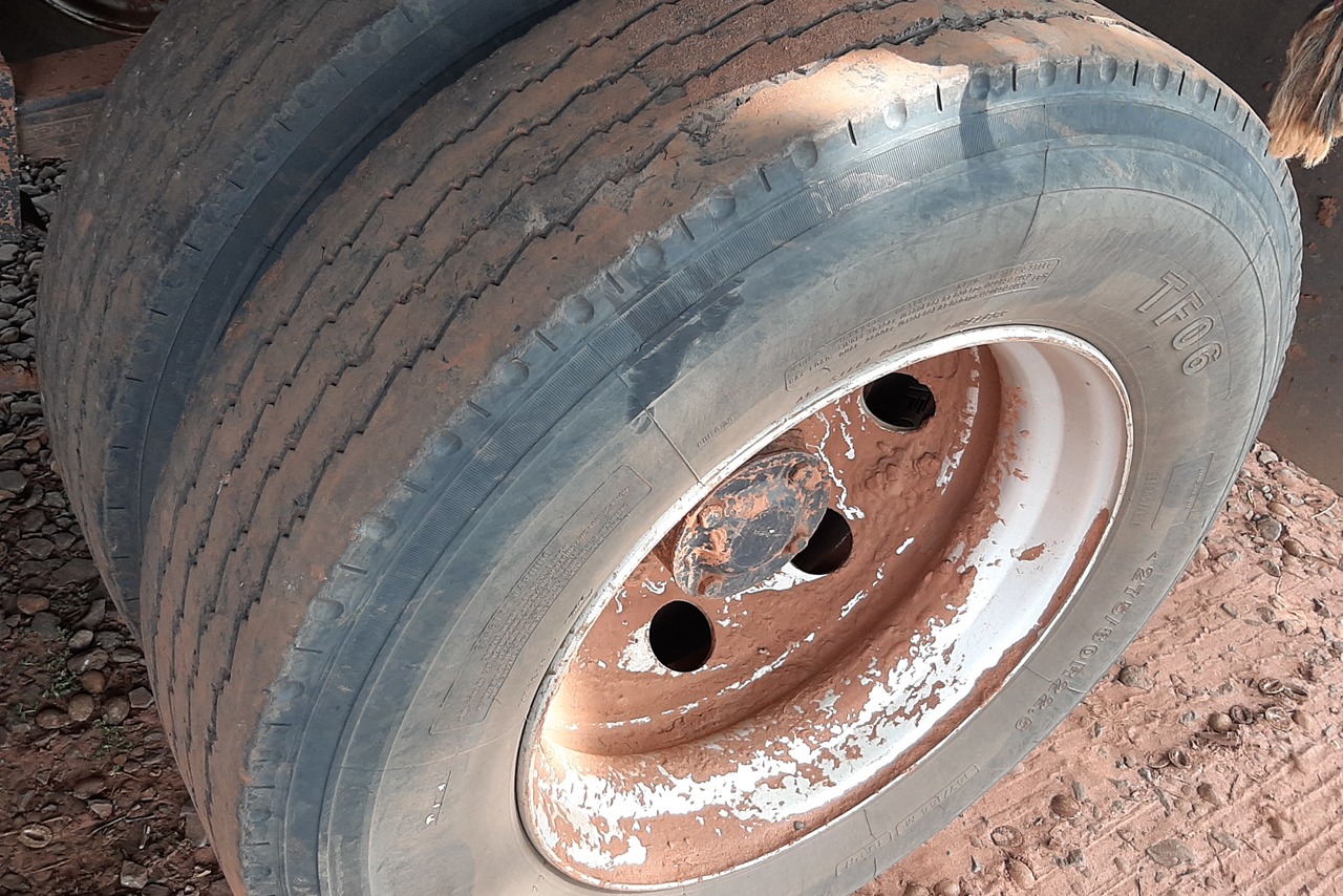 Ford Cargo1317 - 07/08 15