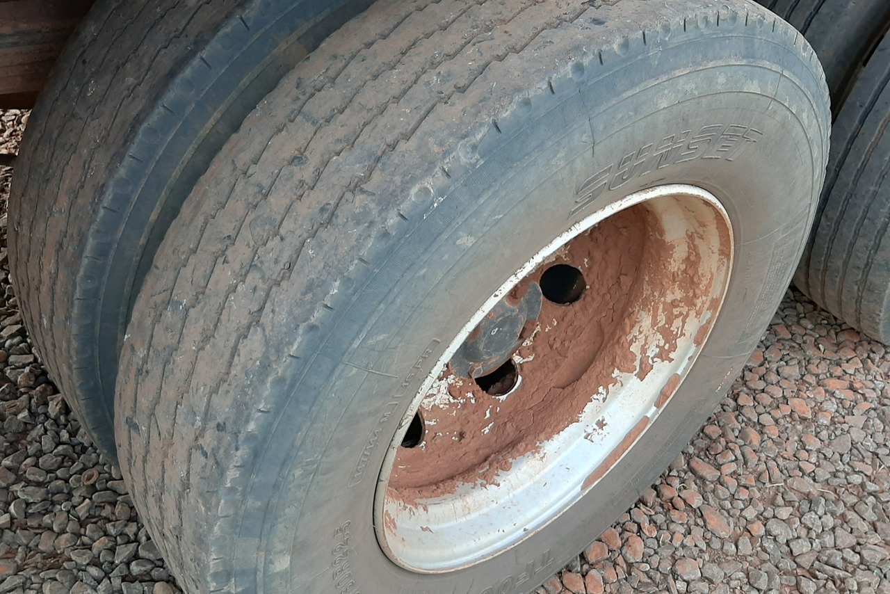 Ford Cargo1317 - 07/08 16