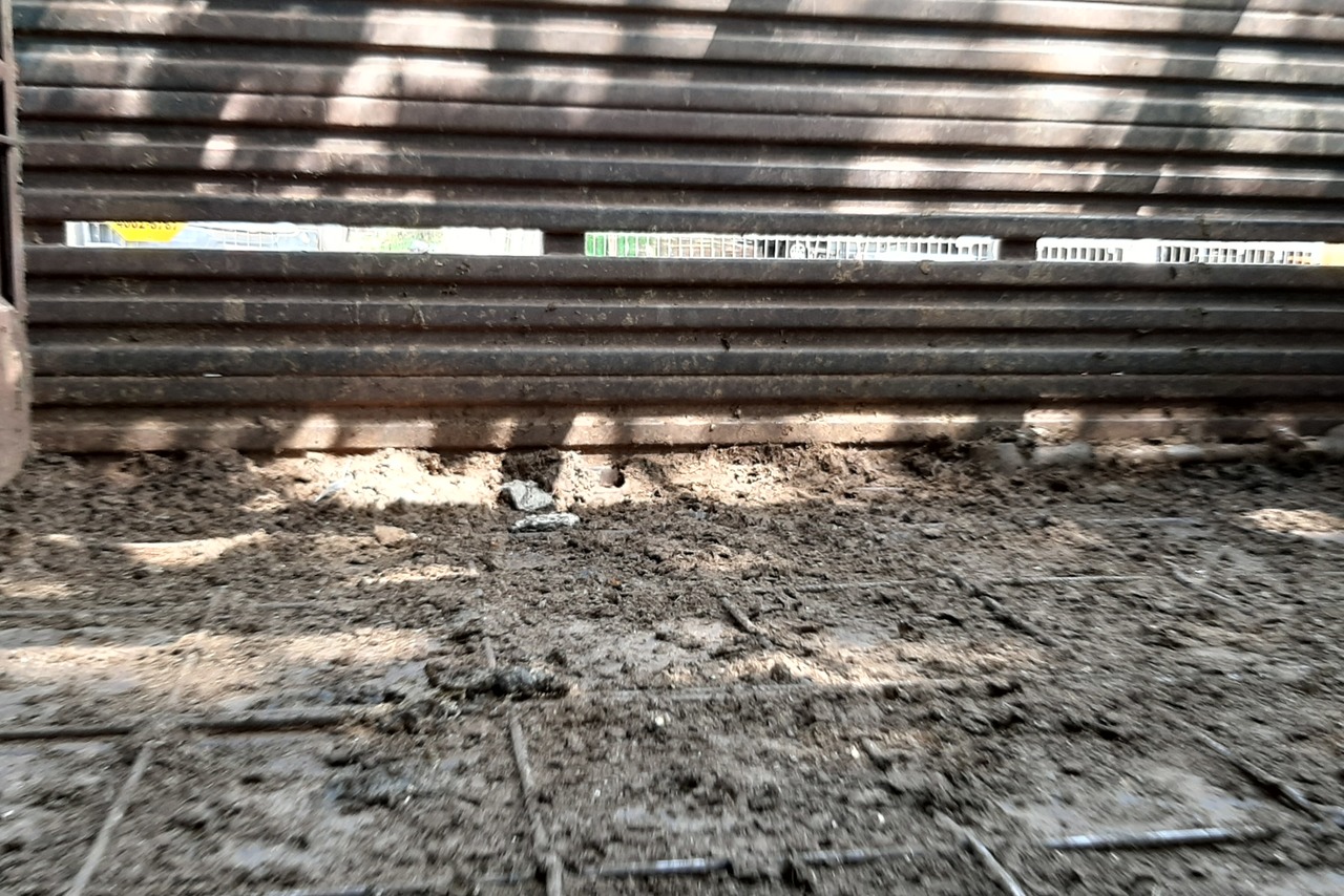Ford Cargo1317 - 07/08 19