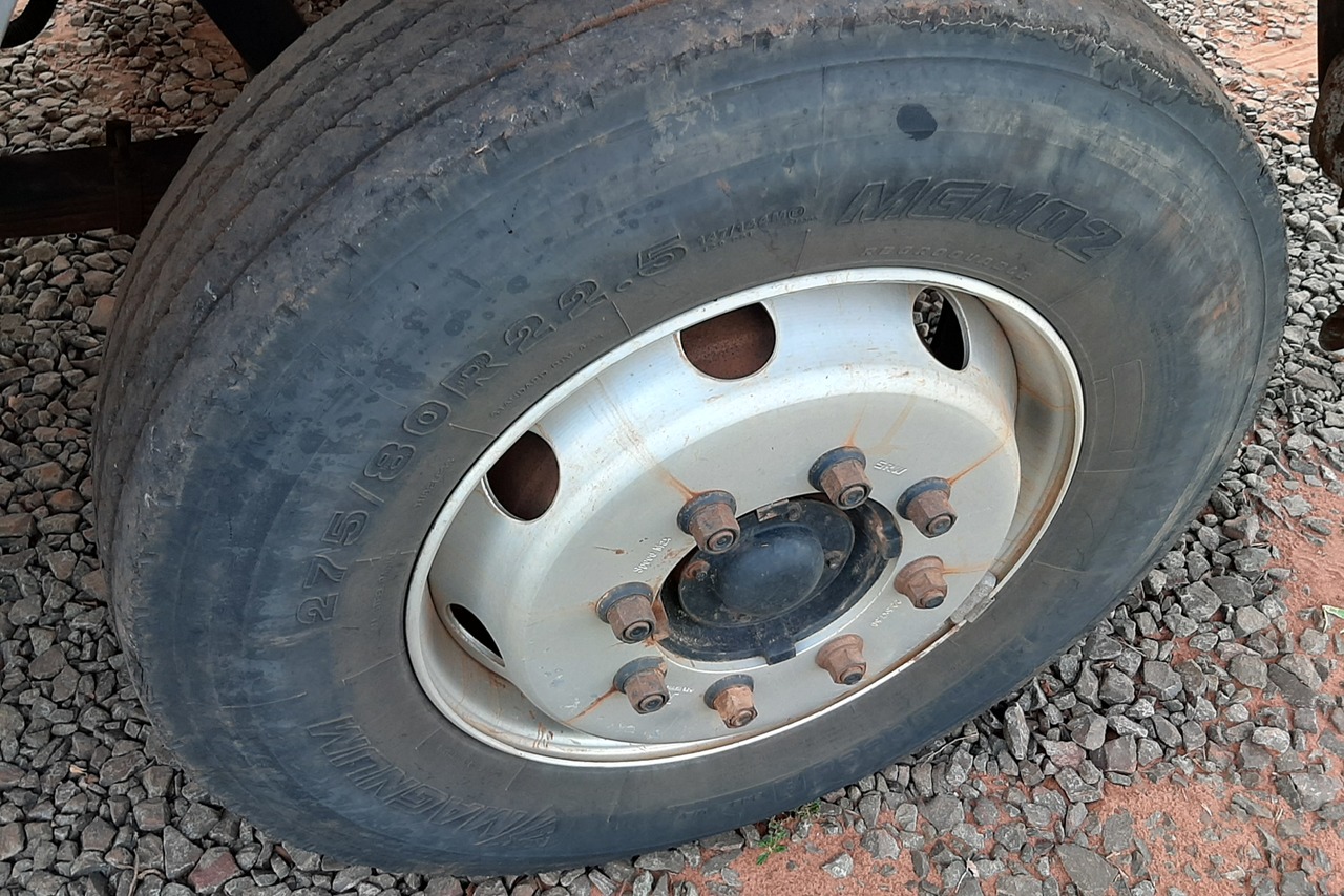 Ford Cargo1317 - 07/08 20