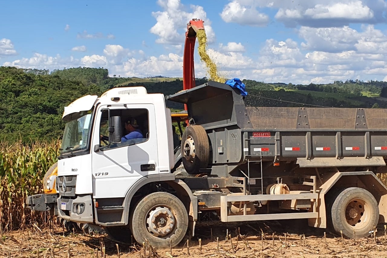Mercedes Benz Atego 1719 - 12/12 5