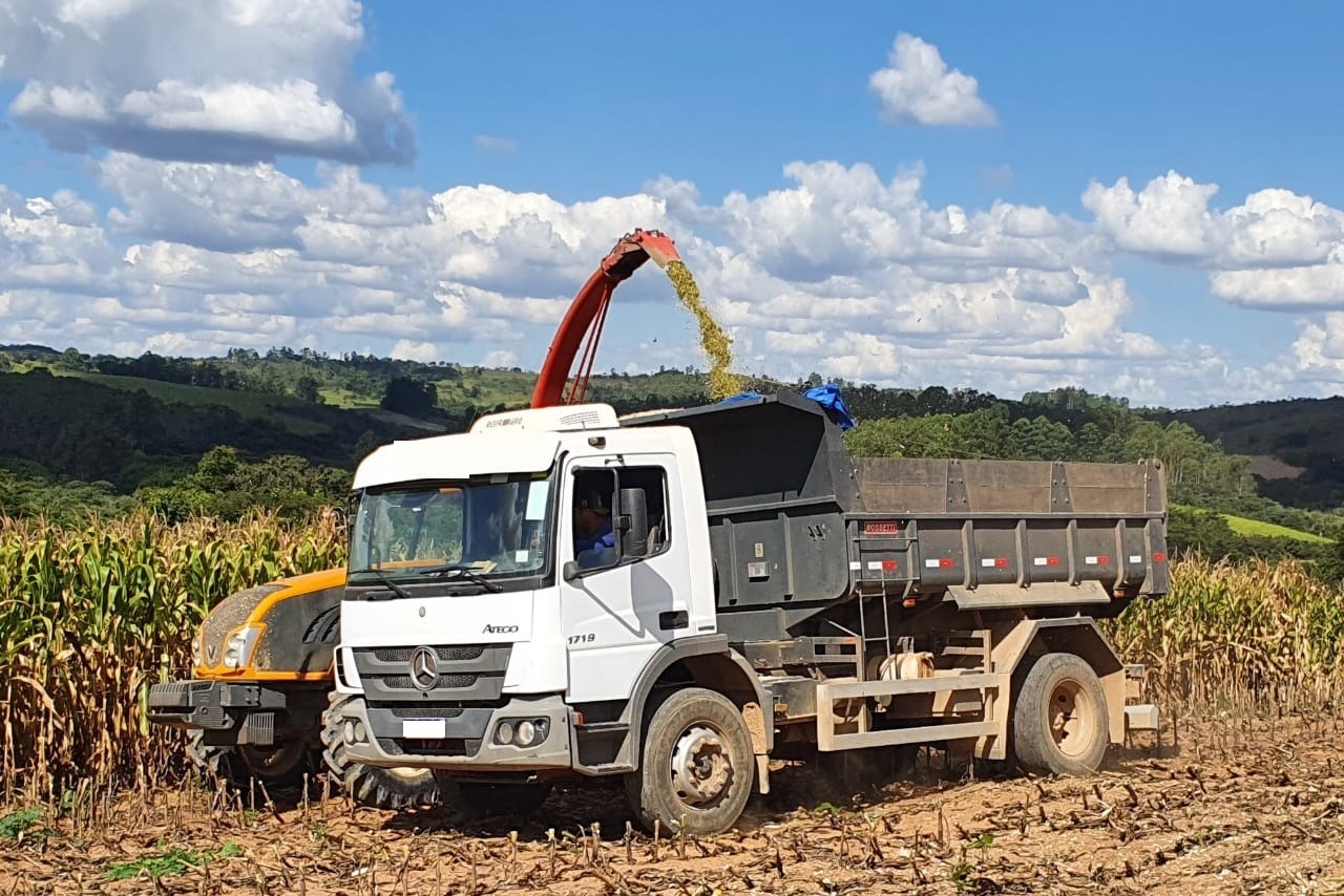 Mercedes Benz Atego 1719 - 12/12 6