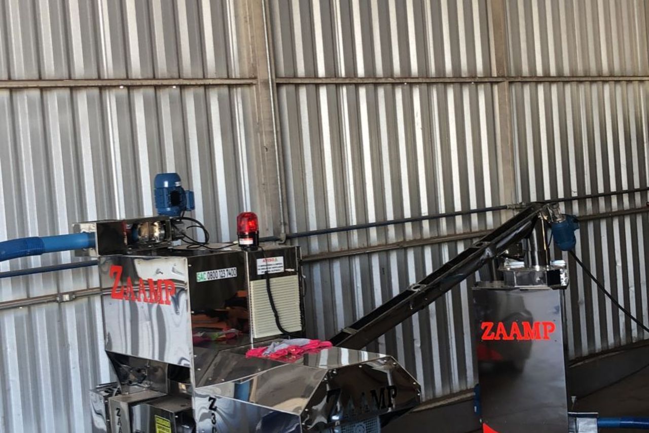 Zaamp Zaampinha - 20/22 3