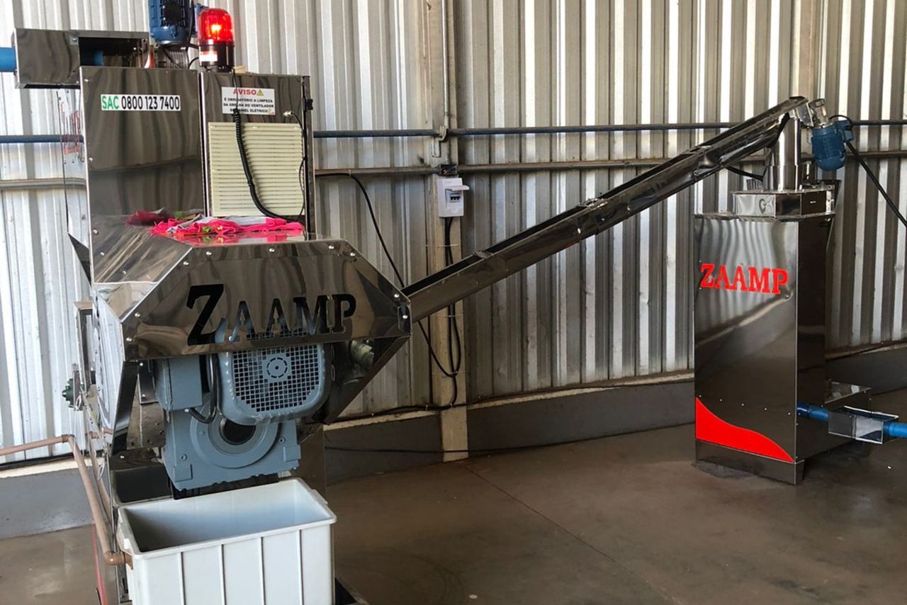 Zaamp Zaampinha - 20/22 6